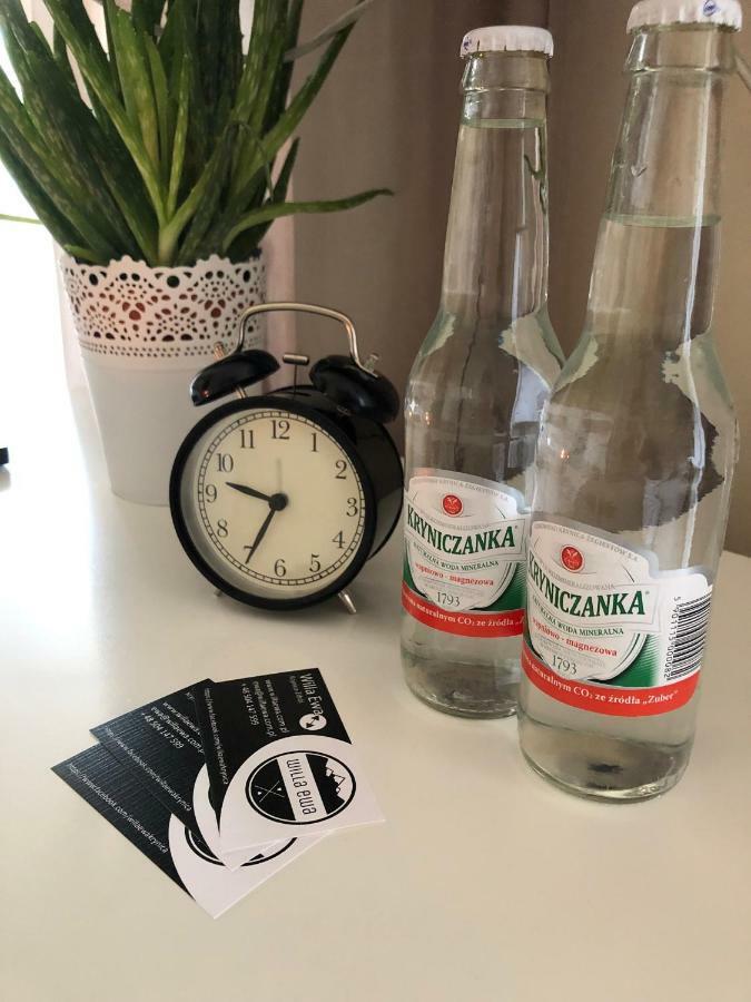 Willa Ewa Krynica Zdroj Εξωτερικό φωτογραφία